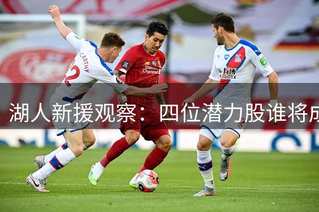 湖人新援观察：四位潜力股谁将成为紫金军团意外之喜？