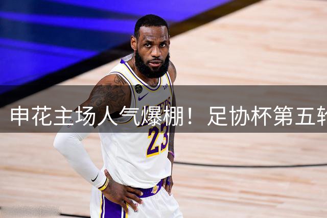 申花主场人气爆棚！足协杯第五轮观众人数揭晓